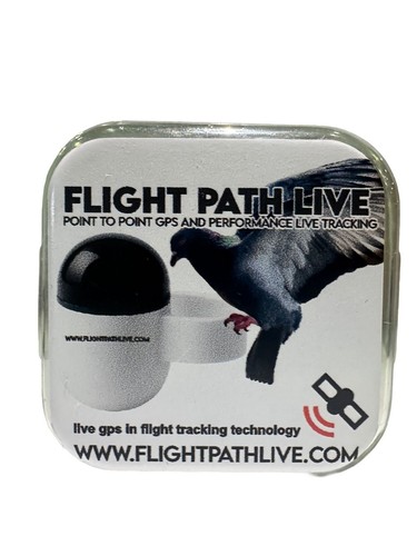 Flight path live bird - path,