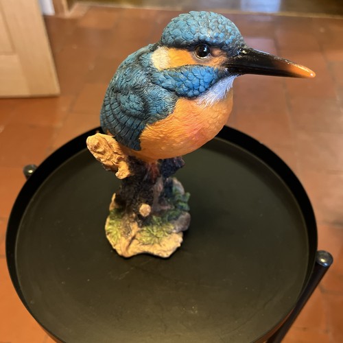 Vivid arts kingfisher bird - vivid,