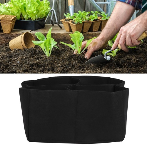 Divided grids garden - 4, planter