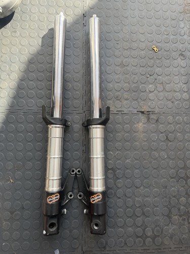 Triumph 955i daytona speed - triumph,