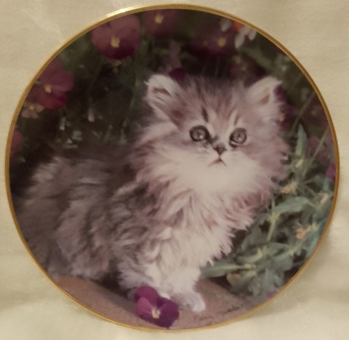 Cat plate decorative cutest - decorative,,