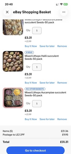 Tailored listing succulent - tailored, listing-succulent