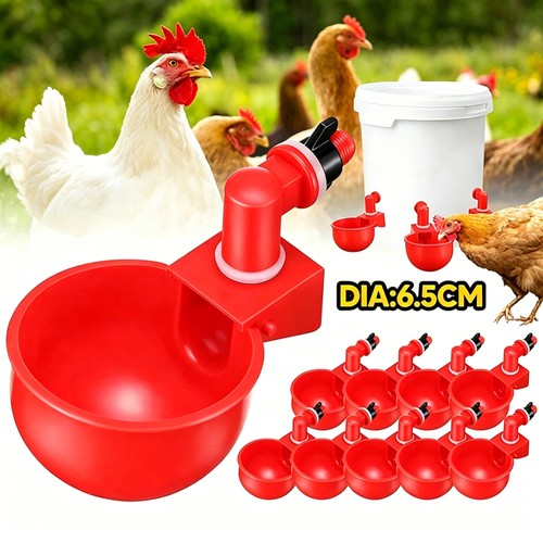 Automatic chicken water cup - automatic,