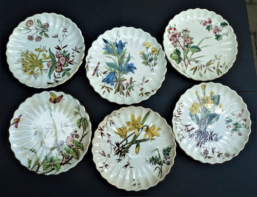 Antique varied wild - 6, 'wild