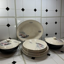 Vintage Alfred Meakin Water