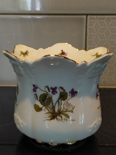 Brosnic english bone china - brosnic,