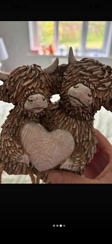 Next highland cow couple - next,