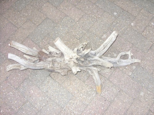 Large driftwood - large,