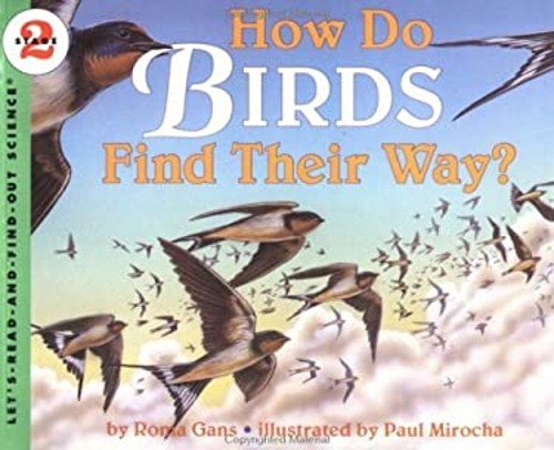 How birds find their - do,