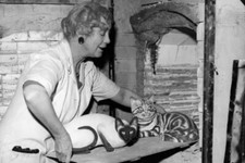 Potter Maisie Seneshall places