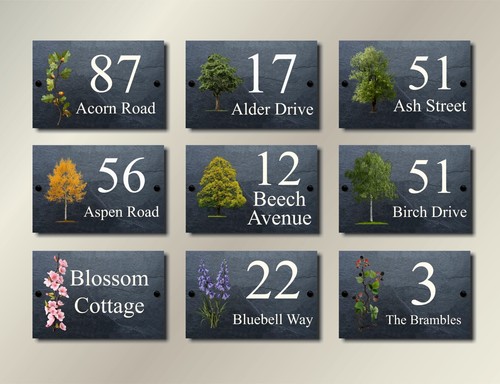 Flowers trees plants - flowers,