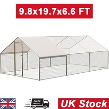 9.8x19.7x6.5 FT Large Chicken