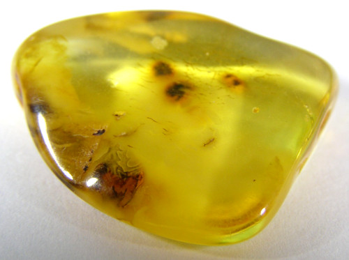 Natural baltic amber - natural,