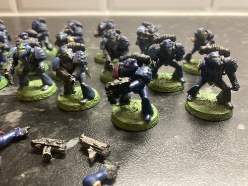 Rogue trader beaky space - trader,