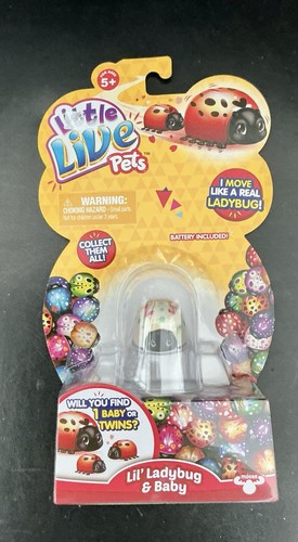 Live pets ladybird - pets,