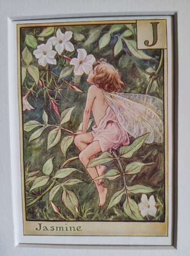 Vintage flower fairies print - flower, &