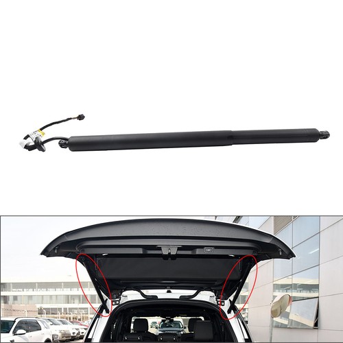 Electric tailgate lift support - lift,
