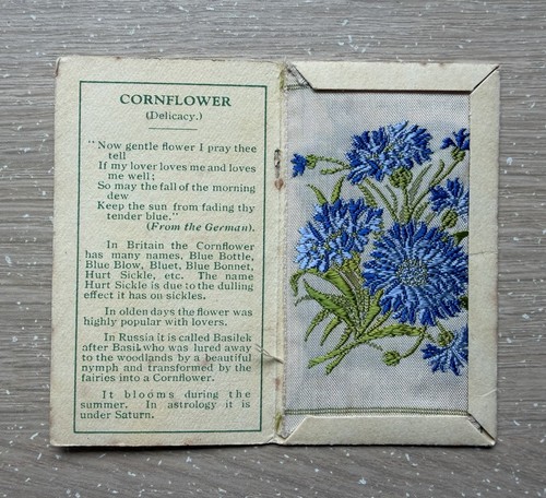 Kensitas wix flowers - a,