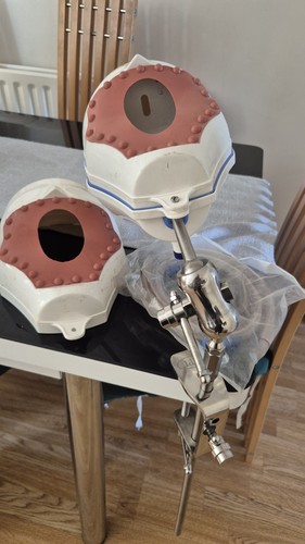 Dental training manikin - dental,