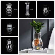 Mini Hydroponic Plant Vase