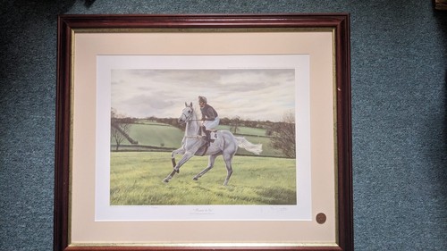 Desert orchid rarin go - desert,