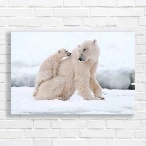 Polar bear with - polar, cub