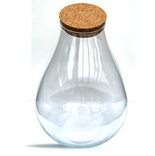 Extra large teardrop terrarium - large,
