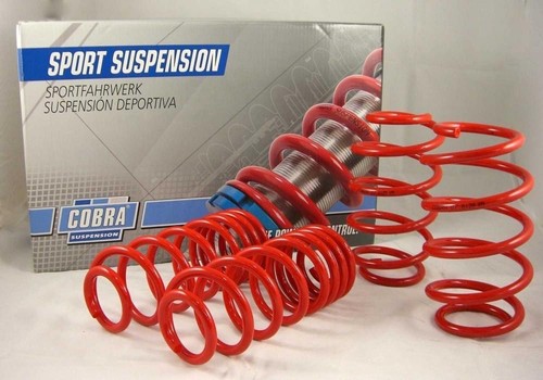 Cobrasport lowering springs - ,