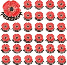 60PCS Poppy Pins,Veterans Day