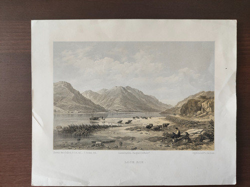Antique original tinted -  antique,