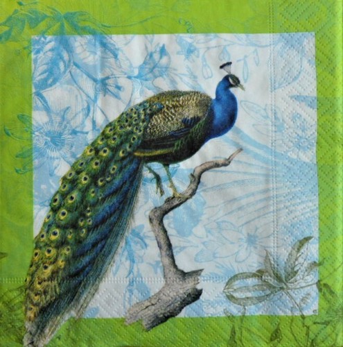 Single paper napkins - 4, for