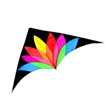 Giant Delta Kite Bird Colorful