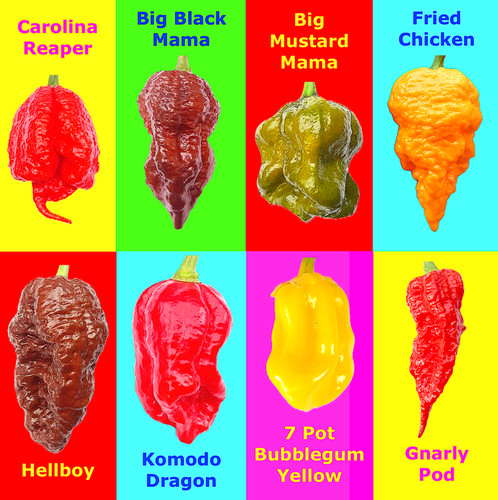 Worlds hottest chilli 8 - hottest,