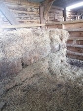 Hay bales. 