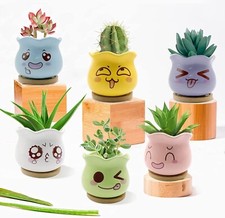 6 Pcs Ceramic Succulent Planter & Cactus Pots with Bamboo Tray for Home & Office