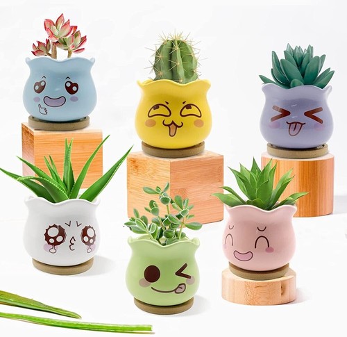 Pcs ceramic succulent - 6,