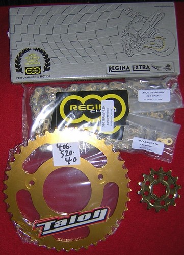 Tz250 regina gpmv chain - 01-10,