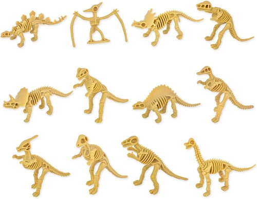 Pieces dinosaur fossils - 12,