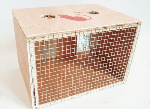 Multi catch humane - catch, box