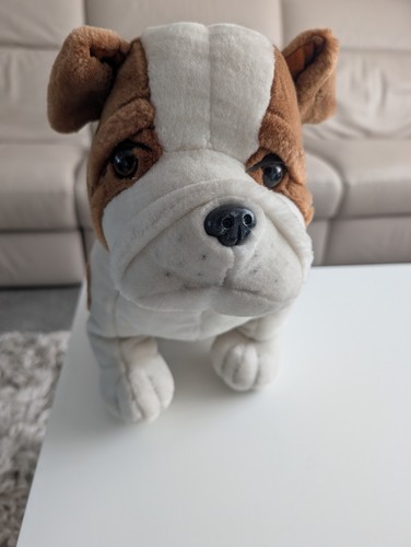 Large bulldog teddy - bulldog,