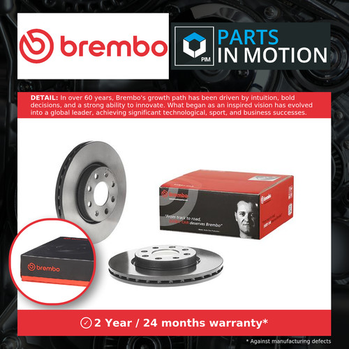 Brake discs pair - discs, vented