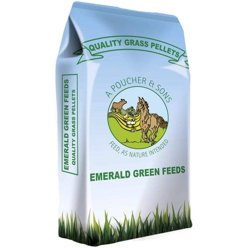 Emerald green feeds - green,