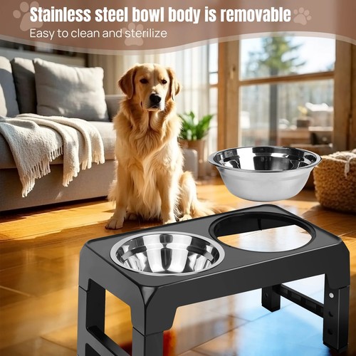 Elevated dog bowls raised - elevated,