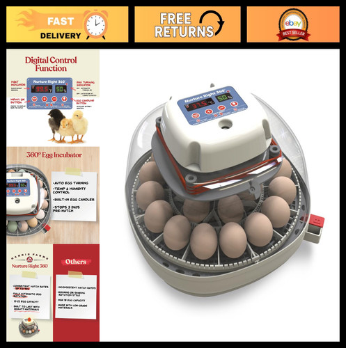 Egg incubator for - for, hatching