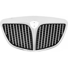 Radiator grille suitable for - grille,