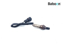 Oxygen Sensor Triumph Rocket