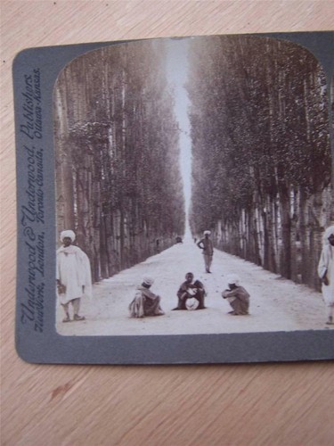 Stereoscope stereo view - stereoscope,