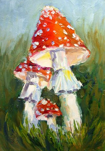 Fly agarics mushrooms original - fly,