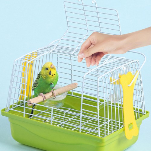 Bird cage pet - pet, house
