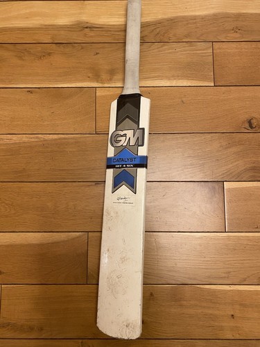 Gunn moore cricket - cricket, bat